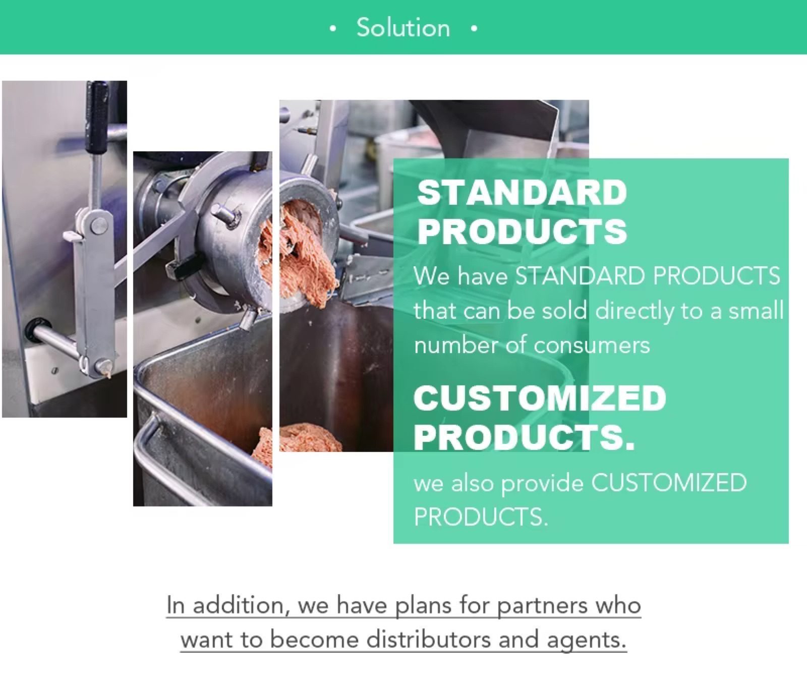 Automatic Vegetable & Fruit Cutting Machine — HUIYILAI