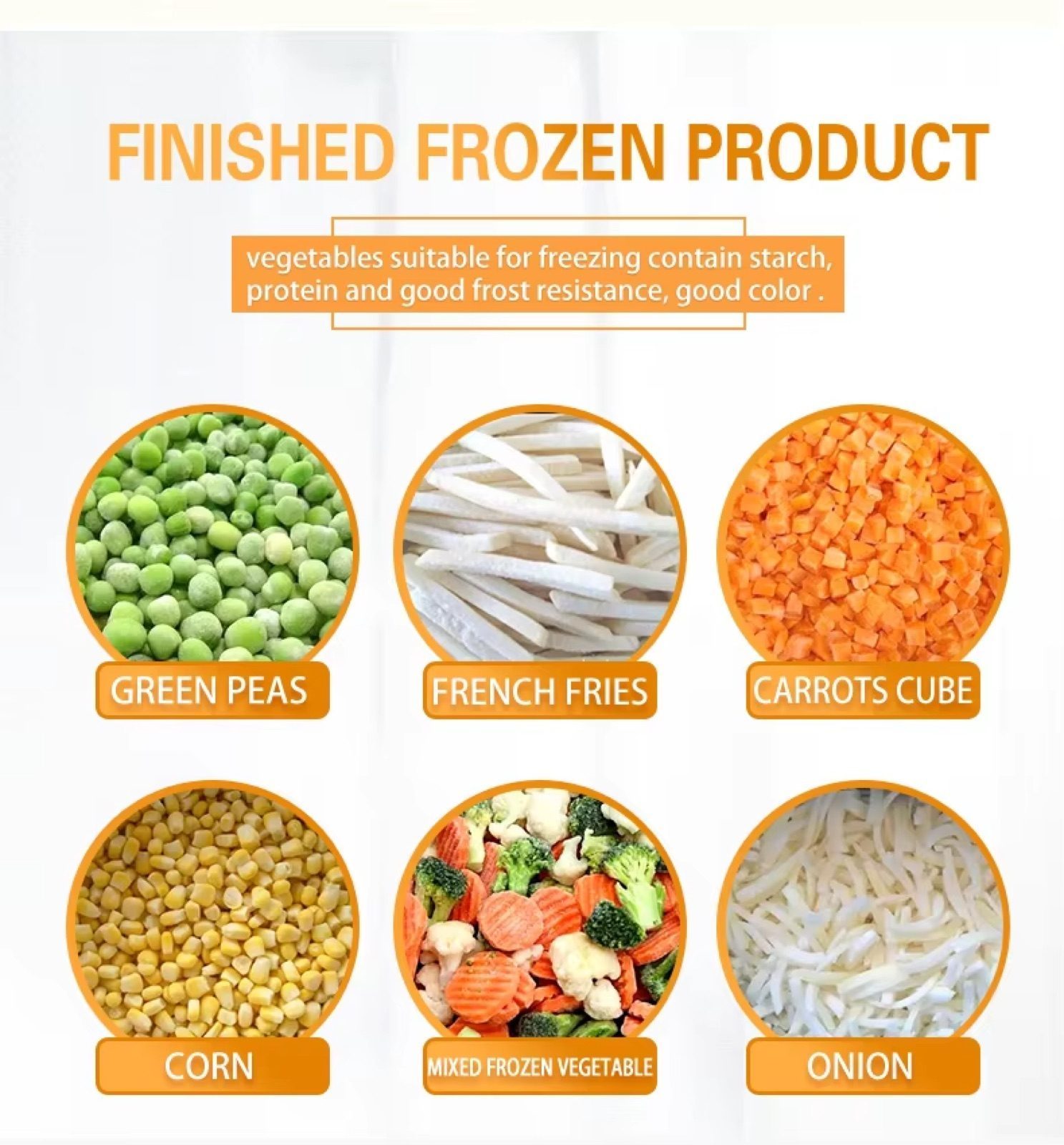 Vegetable and Fruit Washing Freezing Production Line — HUIYILAI