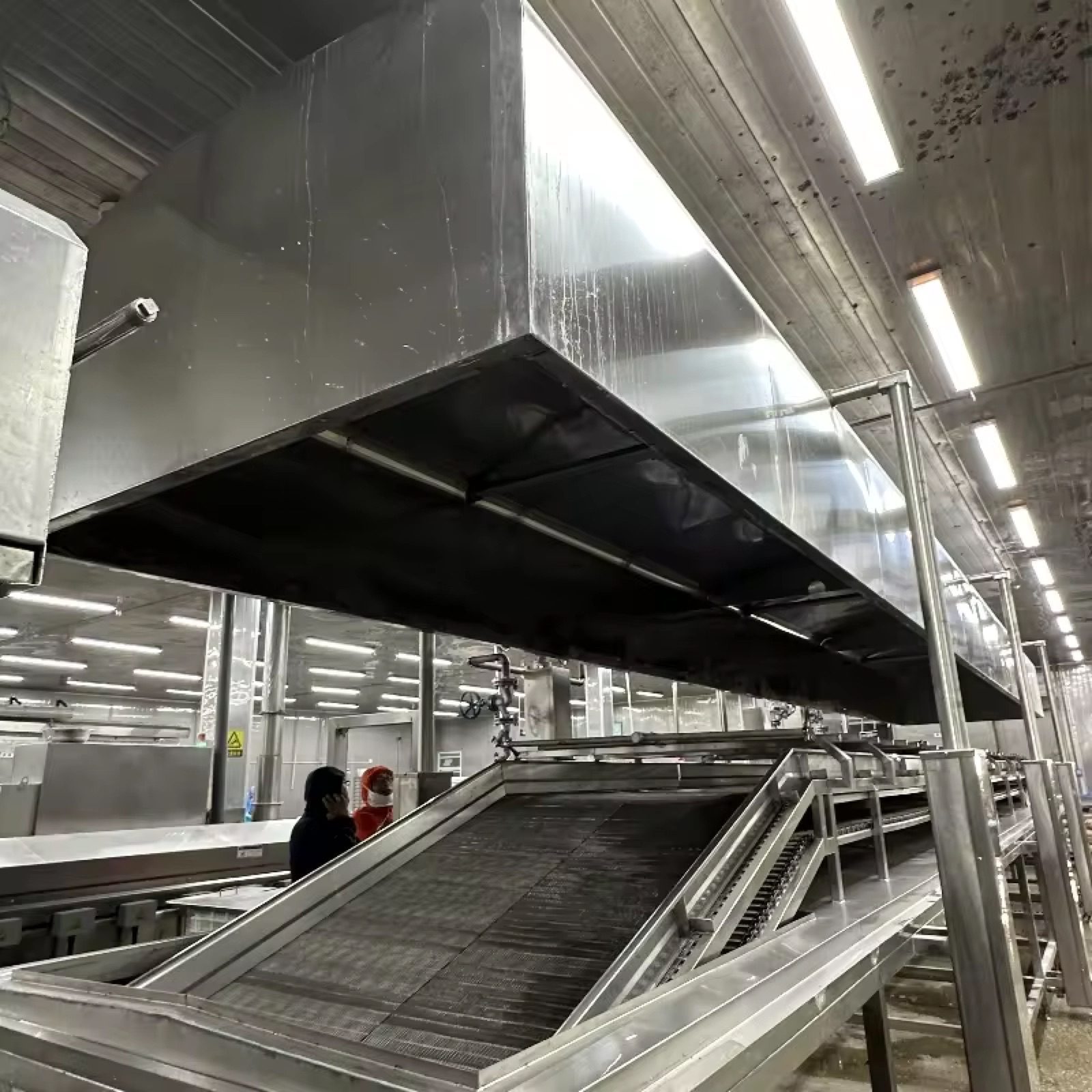Continous tunnel Pouch Bag Food Pasteurization Machine — HUIYILAI