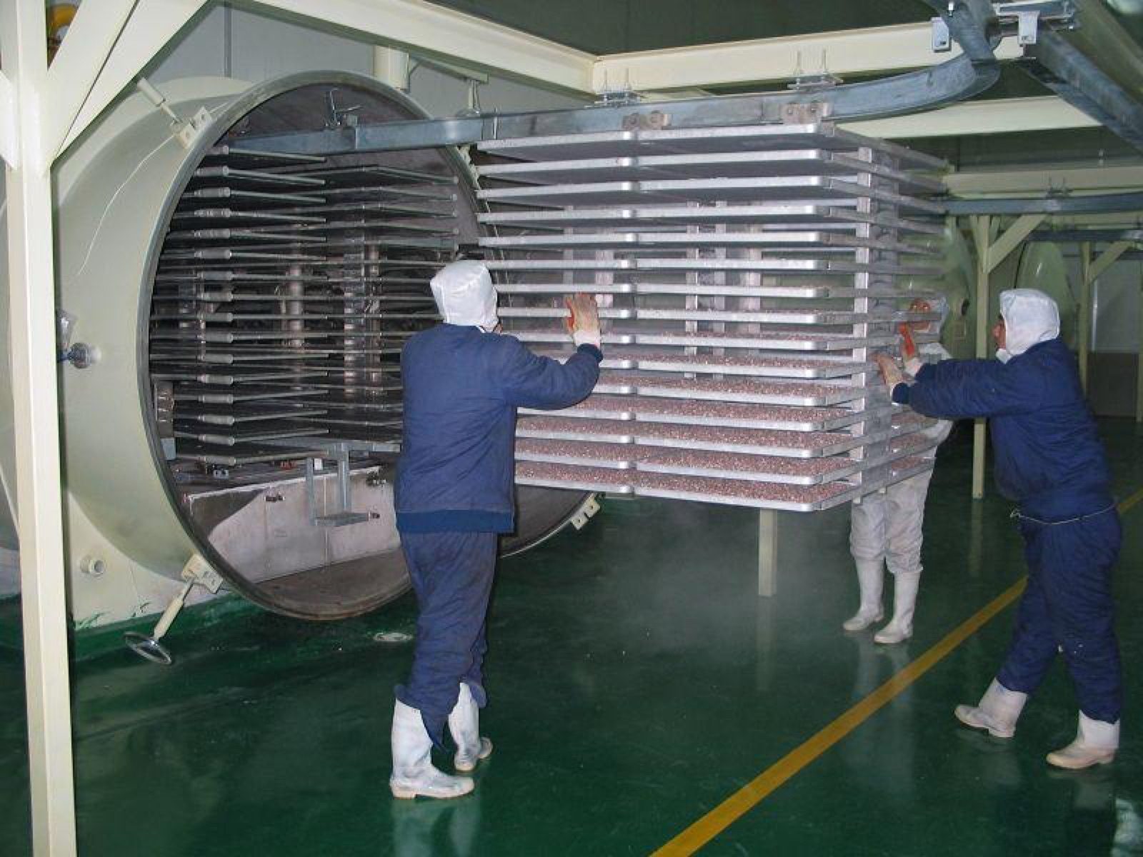 Fruit Vacuum Freeze Drying Machine — HUIYILAI