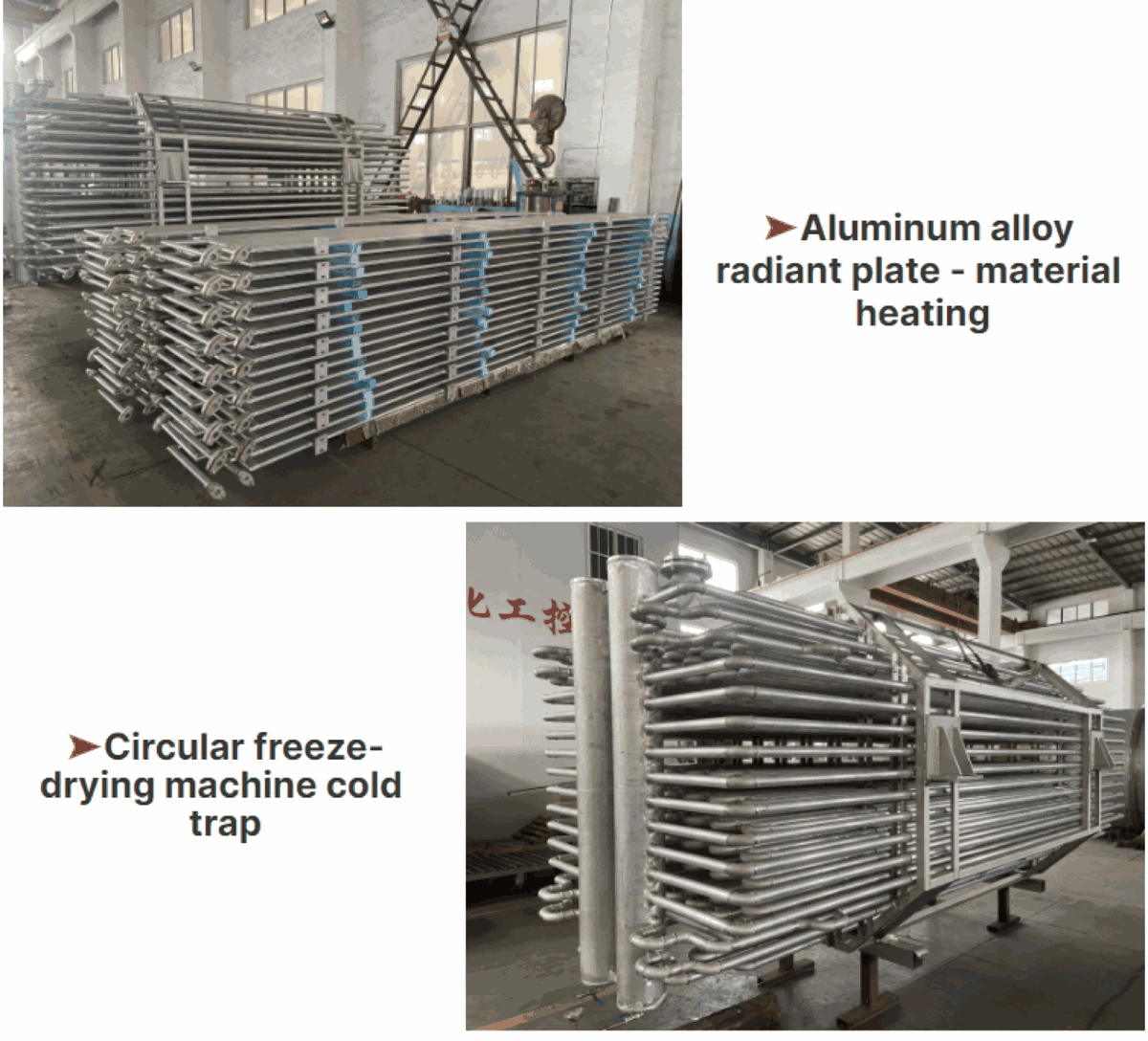 Large-Scale Food Freeze Dryer — HUIYILAI